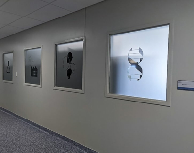 Frosted Window Graphics Photo